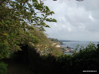 iazzette-13-11-2012 08-42-08
